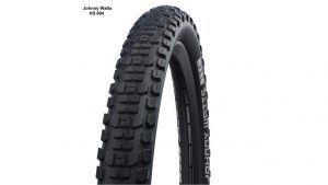 Schwalbe