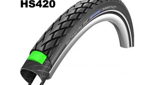 Schwalbe