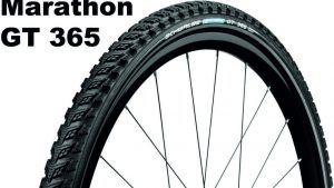 Schwalbe