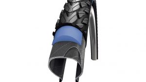 Schwalbe