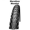 Schwalbe
