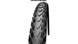 Schwalbe