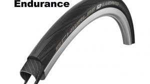 Schwalbe