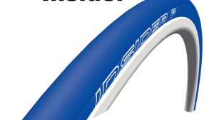 Schwalbe