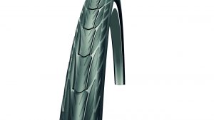Schwalbe