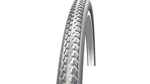 Schwalbe