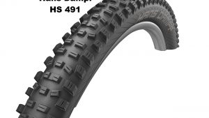 Schwalbe