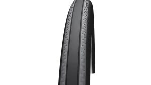 Schwalbe