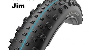Schwalbe
