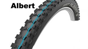 Schwalbe