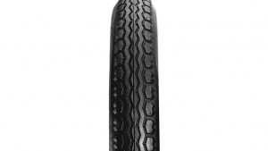 Schwalbe
