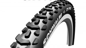 Schwalbe