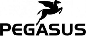 Pegasus