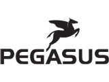 Logo Pegasus