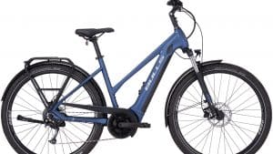 BULLS Landscape EVO E-Cross 29 Zoll Trapez 9 Gang